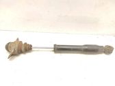 Rear shock absorber/damper