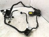 Rear door wiring loom