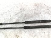 Front bonnet/hood damper/strut
