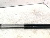 Tailgate/trunk strut/damper