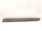 Rear door trim (molding)