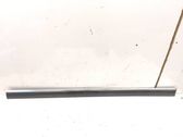 Front door trim (molding)