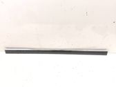 Front door trim (molding)
