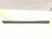 Rear door trim (molding)