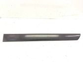Front door trim (molding)