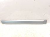 Rear door trim (molding)