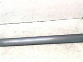 Rear door trim (molding)
