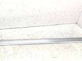 Front door trim (molding)