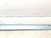 Front door trim (molding)