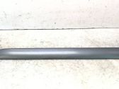 Rear door trim (molding)