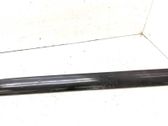 Rear door trim (molding)