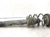 Front shock absorber with coil spring