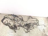 Other wiring loom