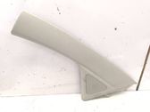(A) pillar trim