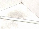 Listón embellecedor de la puerta delantera (moldura)