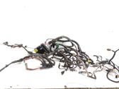Engine installation wiring loom