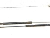Tailgate/trunk strut/damper