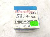 Thermostat