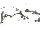 Front door wiring loom