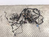Other wiring loom