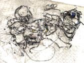 Other wiring loom