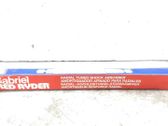 Rear shock absorber/damper