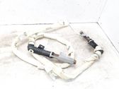 Airbag del techo
