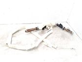 Airbag del techo