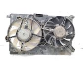 Electric radiator cooling fan