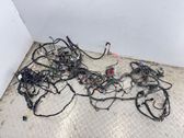Other wiring loom