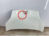 Engine bonnet/hood
