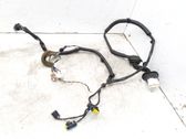 Cableado de puerta trasera