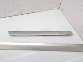 Rear fender molding trim