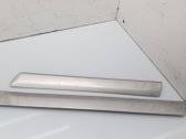 Rear fender molding trim