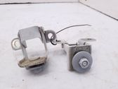Tailgate/trunk/boot hinge