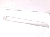 Rear door trim (molding)