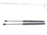 Tailgate/trunk strut/damper