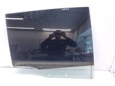 Rear door window glass