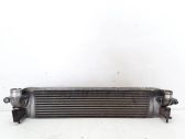 Radiador intercooler