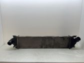 Radiador intercooler