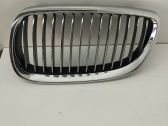 Front bumper upper radiator grill