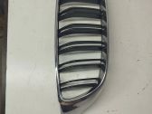 Front bumper upper radiator grill