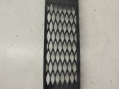 Front bumper lower grill