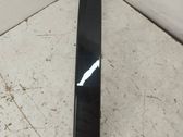 Rear/tail light trim molding