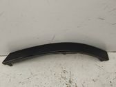 Rear/tail light trim molding