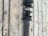 Stoßdämpfer mit Federbein hinten