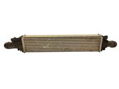 Intercooler radiator