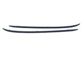Roof bar rail