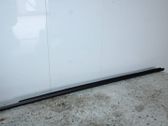 Moulures des vitres de la porte avant