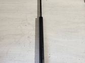 Tailgate strut